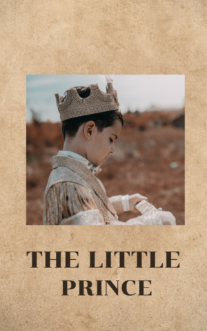 A book titled 'The Little Prince'